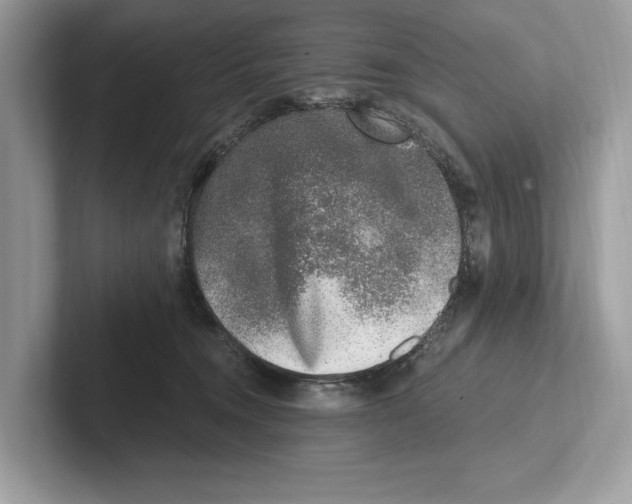 X0000100910372200807220955