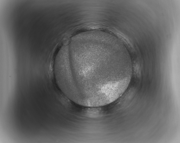X0000100910373200807220955