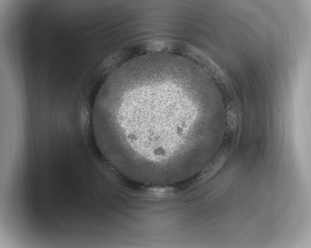 X0000100910375200807220955