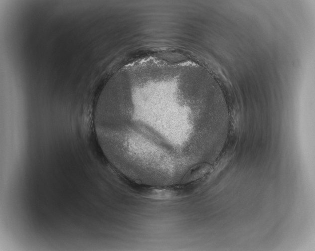 X0000100910376200807220955