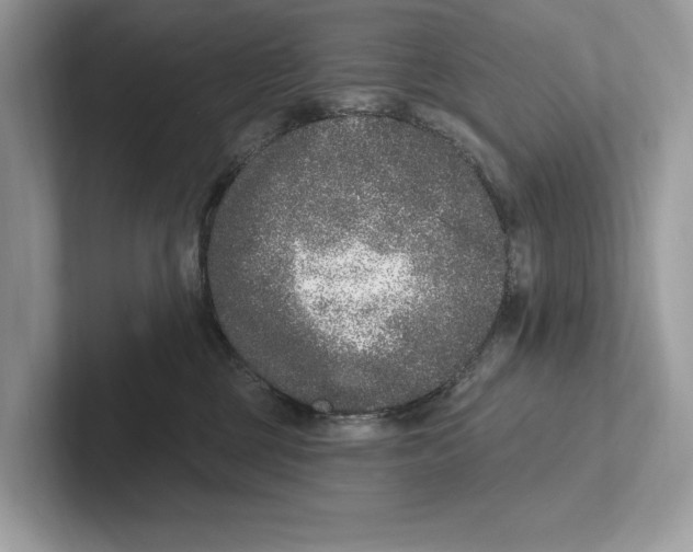 X0000100910377200807220955
