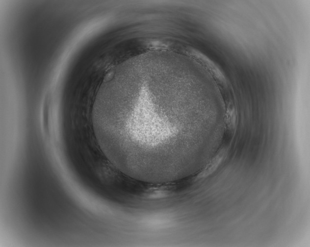 X0000100910381200807220956