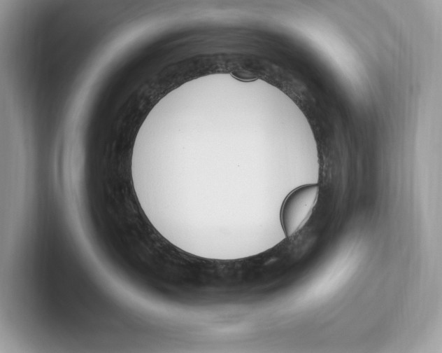 X0000100910383200807220956
