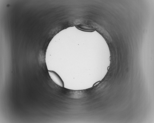 X0000100910384200807220956