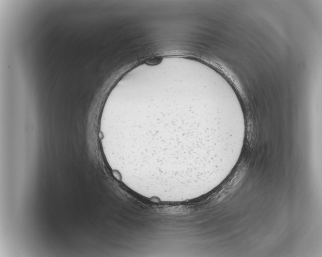 X0000100910385200807220955