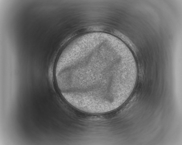 X0000100910386200807220955