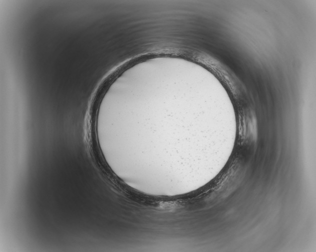 X0000100910388200807220955