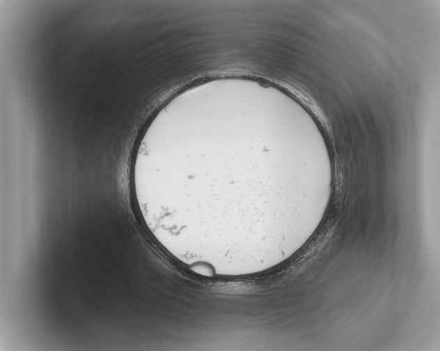 X0000100910389200807220955
