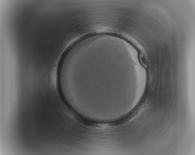 X0000100910391200807220955