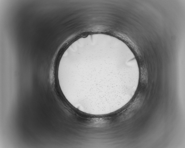 X0000100910392200807220955
