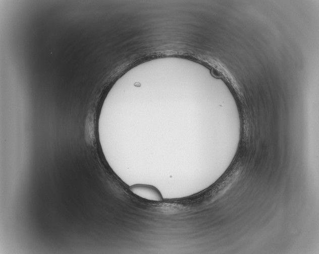 X0000100910393200807220955