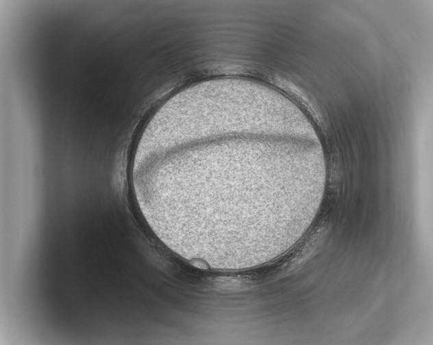 X0000100910394200807220955