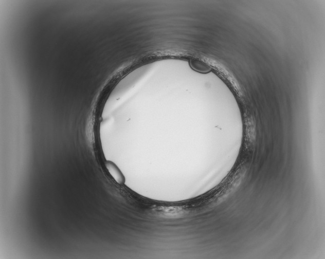 X0000100910395200807220955