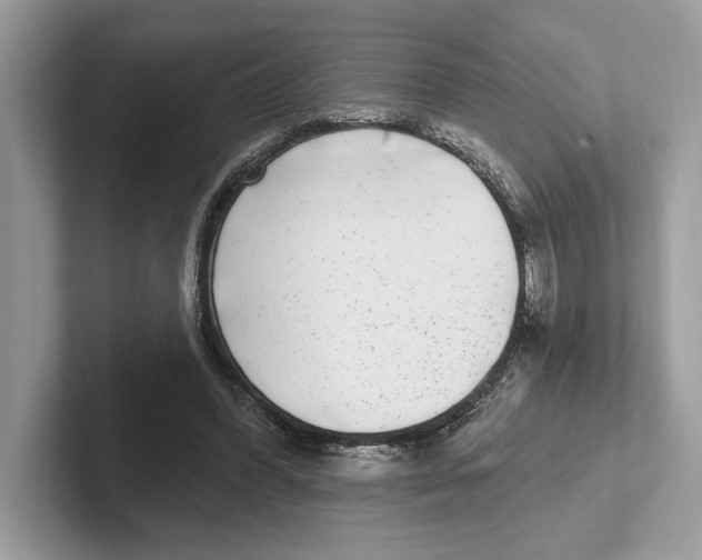 X0000100910396200807220955