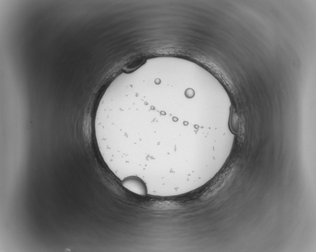 X0000100910397200807220955