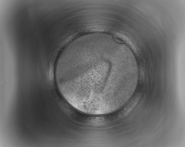 X0000100910398200807220955