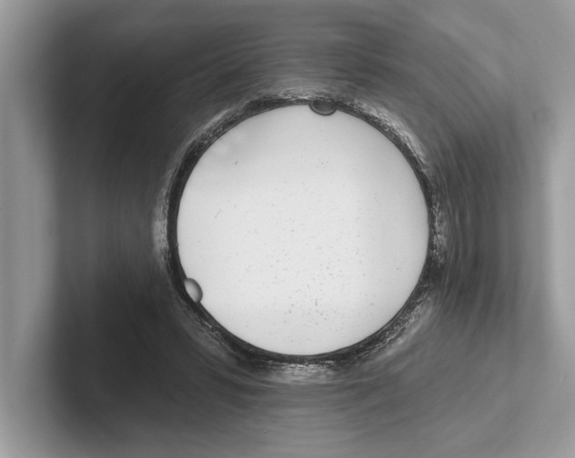 X0000100910399200807220955