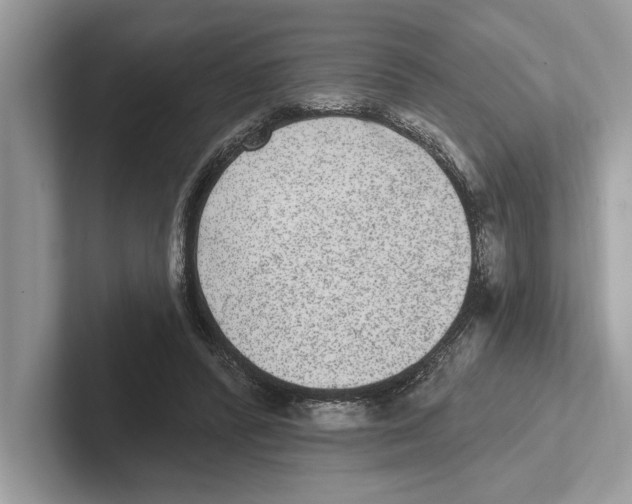 X0000100910400200807220955