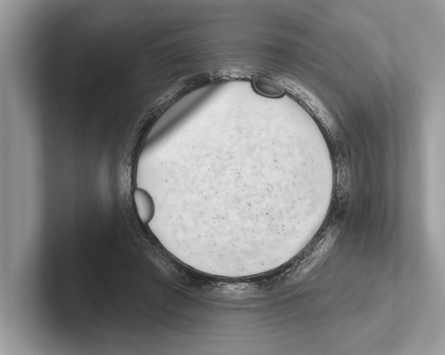 X0000100910401200807220955