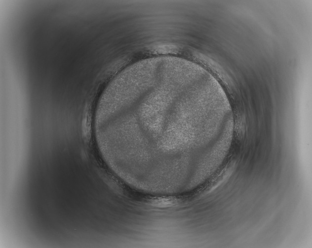 X0000100910402200807220955