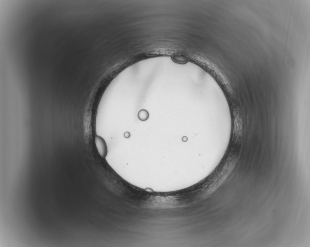 X0000100910403200807220955