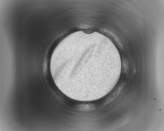 X0000100910404200807220955