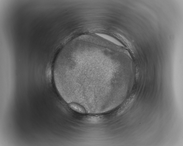 X0000100910405200807220955