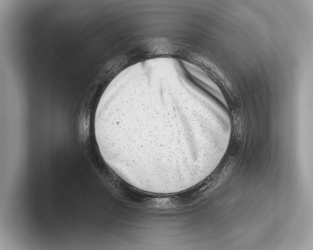 X0000100910406200807220955