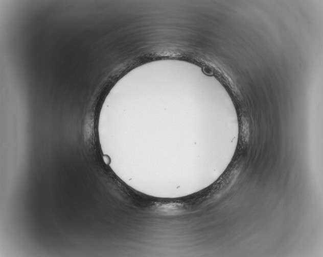 X0000100910407200807220955
