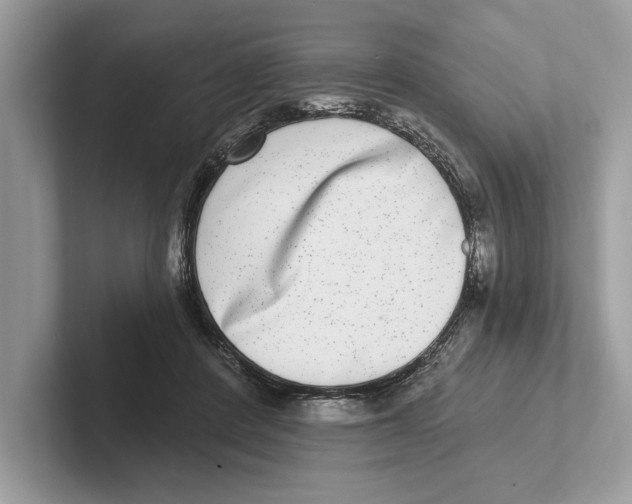 X0000100910408200807220955