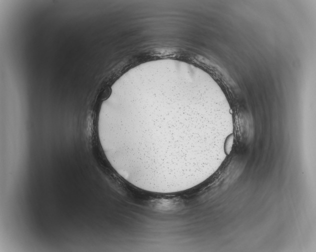 X0000100910412200807220955
