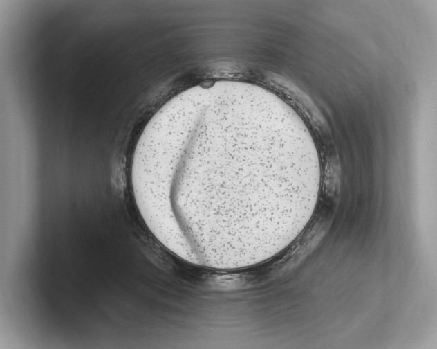 X0000100910413200807220955