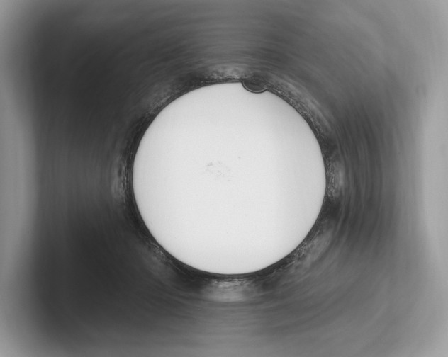X0000100910414200807220955