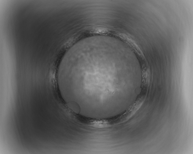 X0000100910415200807220954