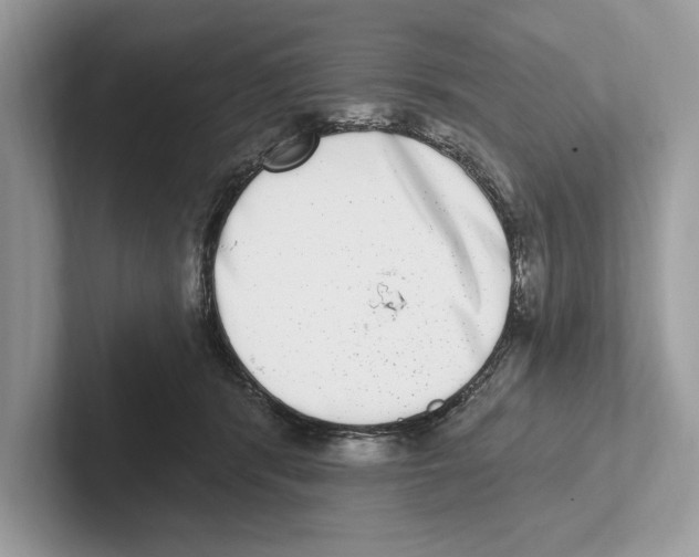 X0000100910416200807220954