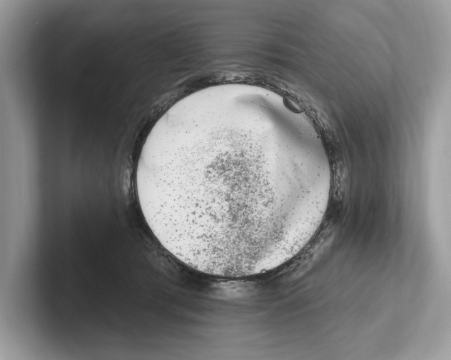 X0000100910417200807220954