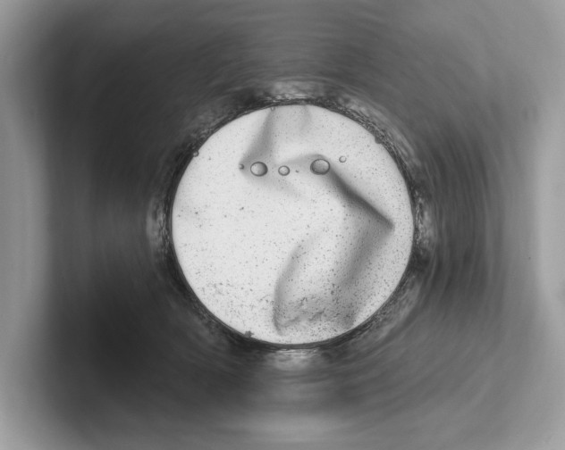 X0000100910418200807220954