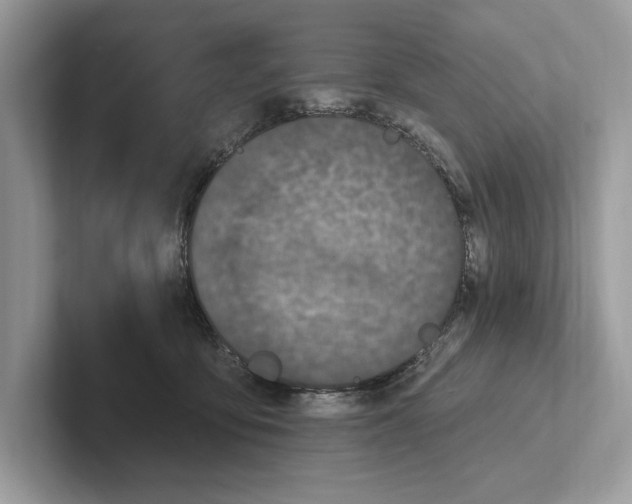 X0000100910419200807220954