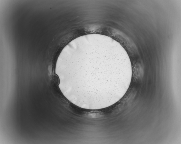 X0000100910420200807220954