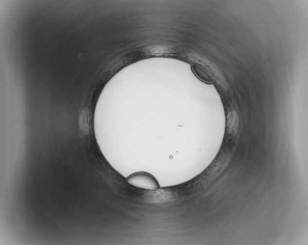 X0000100910421200807220954