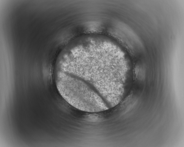 X0000100910423200807220954