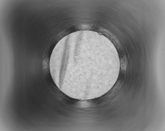 X0000100910425200807220954