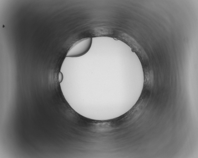 X0000100910426200807220954