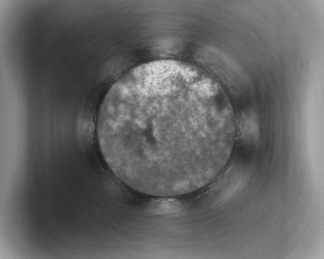 X0000100910427200807220954