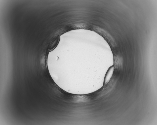 X0000100910428200807220954