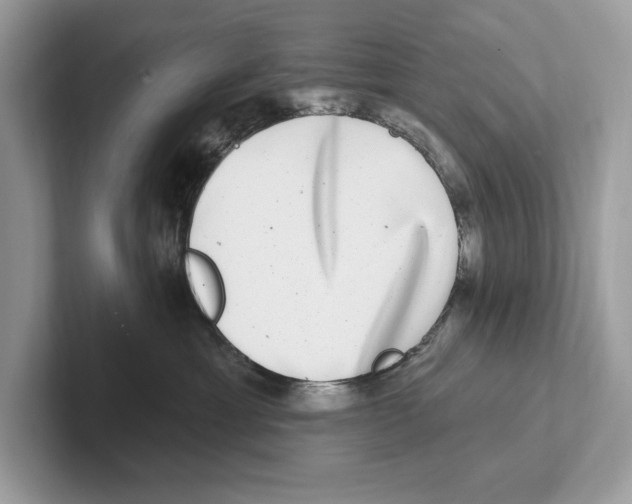 X0000100910429200807220954