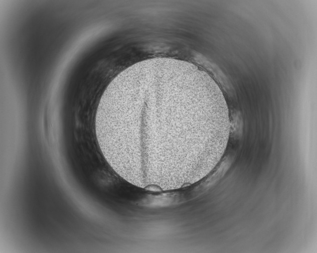 X0000100910430200807220954