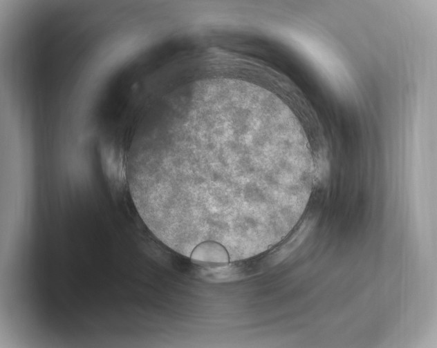 X0000100910431200807220954