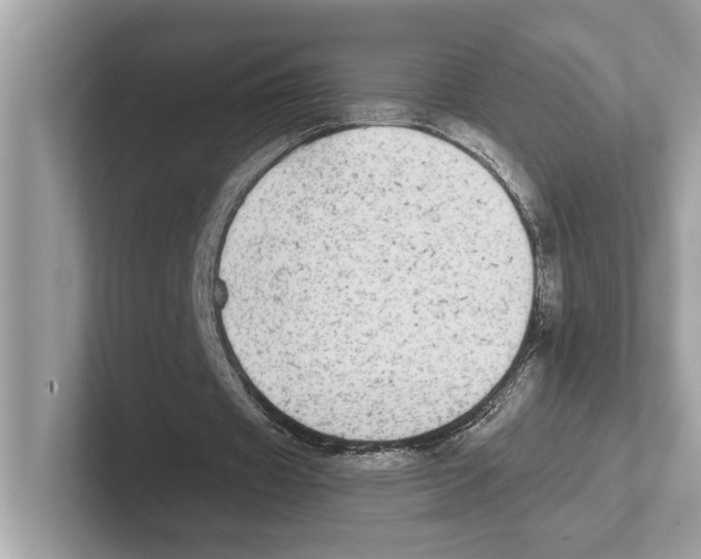 X0000100910433200807220954