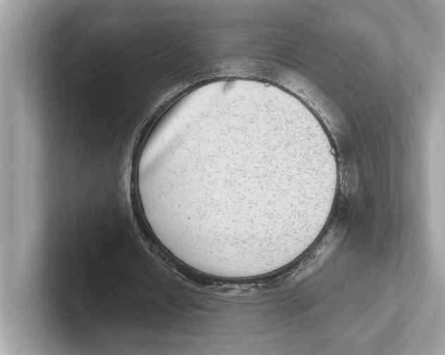 X0000100910434200807220954